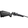 Rossi RB17 17HMR 21" BLK 5RND Rifle