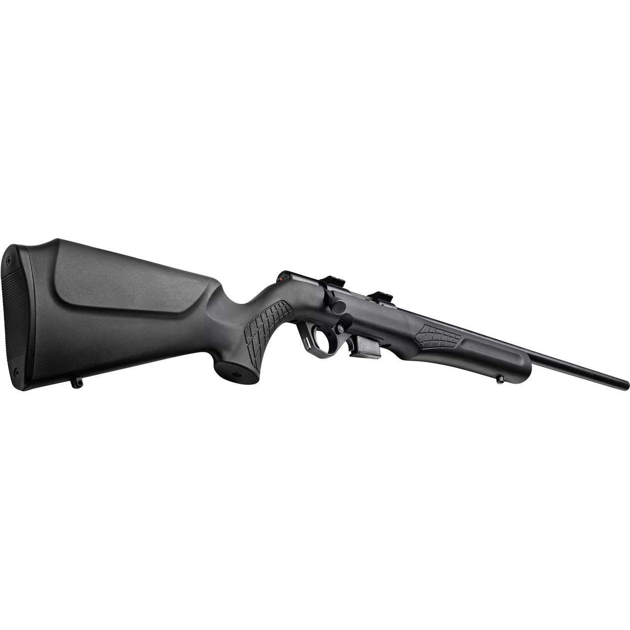 Rossi RB17 17HMR 21" BLK 5RND Rifle