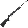 Rossi RB17 17HMR 21" BLK 5RND Rifle