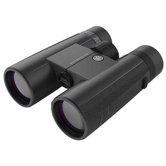 Sig Sauer Electro -Optics - Buckmaster Binocular 10X42MM