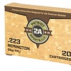 STV Technology Patriot 223 Remington 1000rnd Case