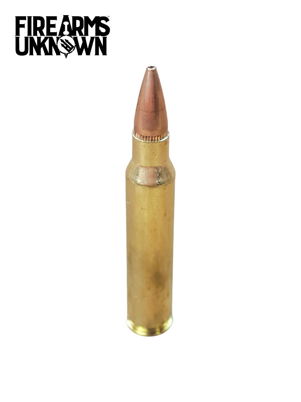 2nd Amendment 223 Rem 55gr HP BT 20 rnd