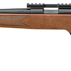 Springfield Armory 2020 Rimfire 22LR 20" Satin Walnut 10RD Rifle