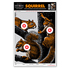Thompson Target Life-Size Squirrel 12.5"x19" Paper Hunting Targets 10PK #2004