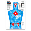 Thompson Target B27-IMZ Half-Size 12.5"x19" Silhouette Targets 10PK #0281