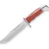 Buck 119 Special Cocobolo Heritage 6" Fixed Blade Knife
