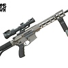 BT Diomedes 5.56 16" Silver 30RD Rifle w/ Sig Tango MSR