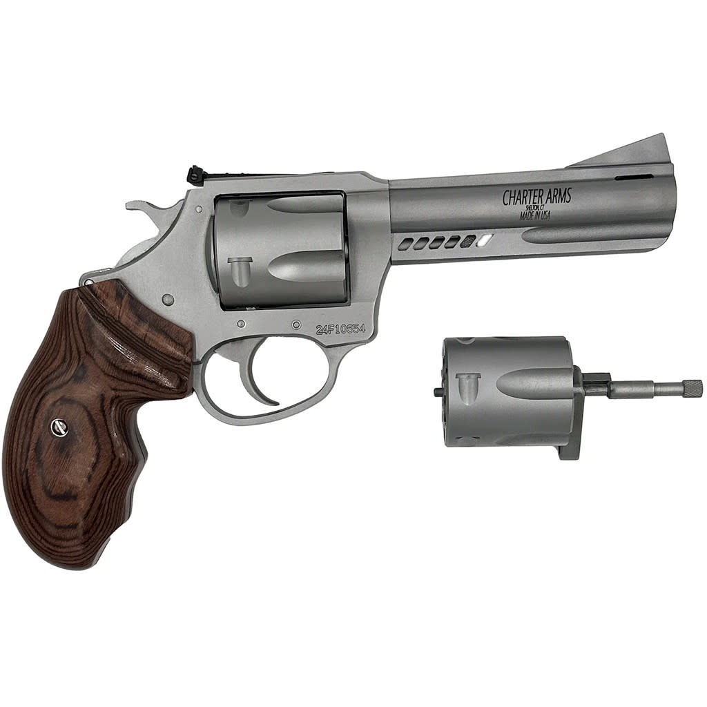 Charter Arms Target Double Dog .357 MAG/9mm 4.2" SS 5 RD Revolver