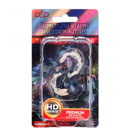 Dungeons & Dragons D&D Icons Male Tiefling Sorcerer HD Mini