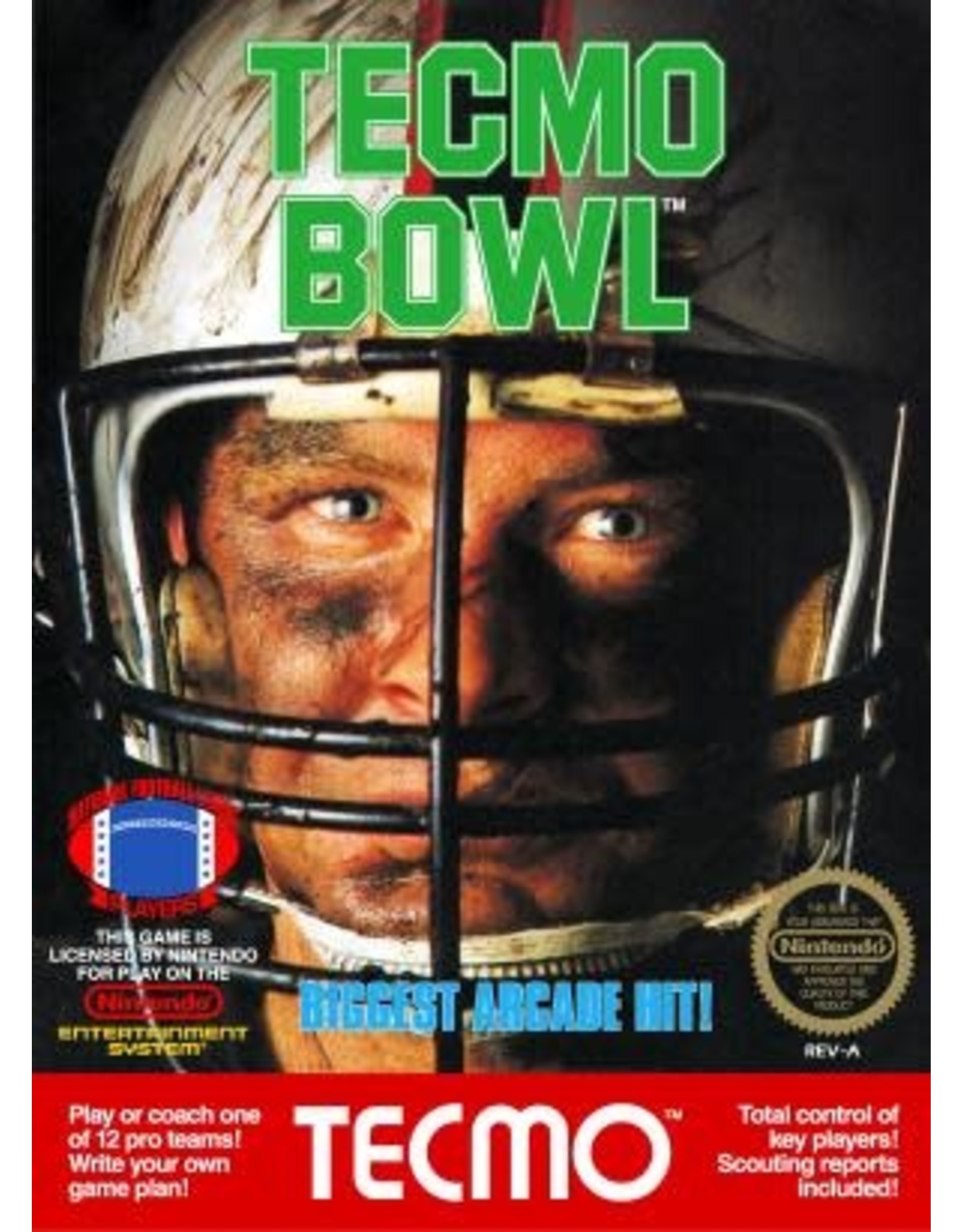 NES Tecmo Bowl (Cart Only)