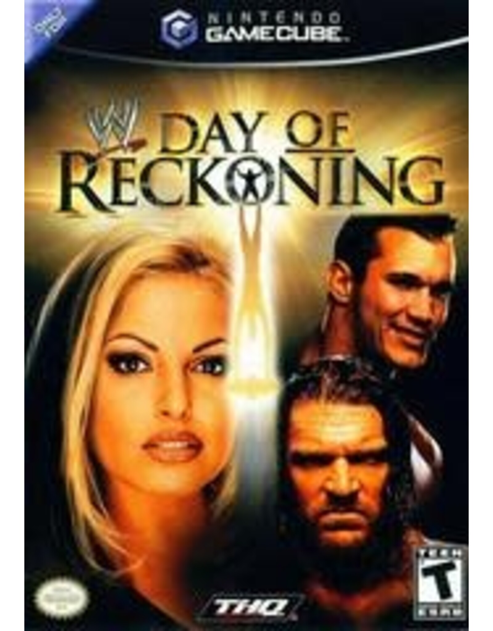 Gamecube WWE Day of Reckoning (No Manual)