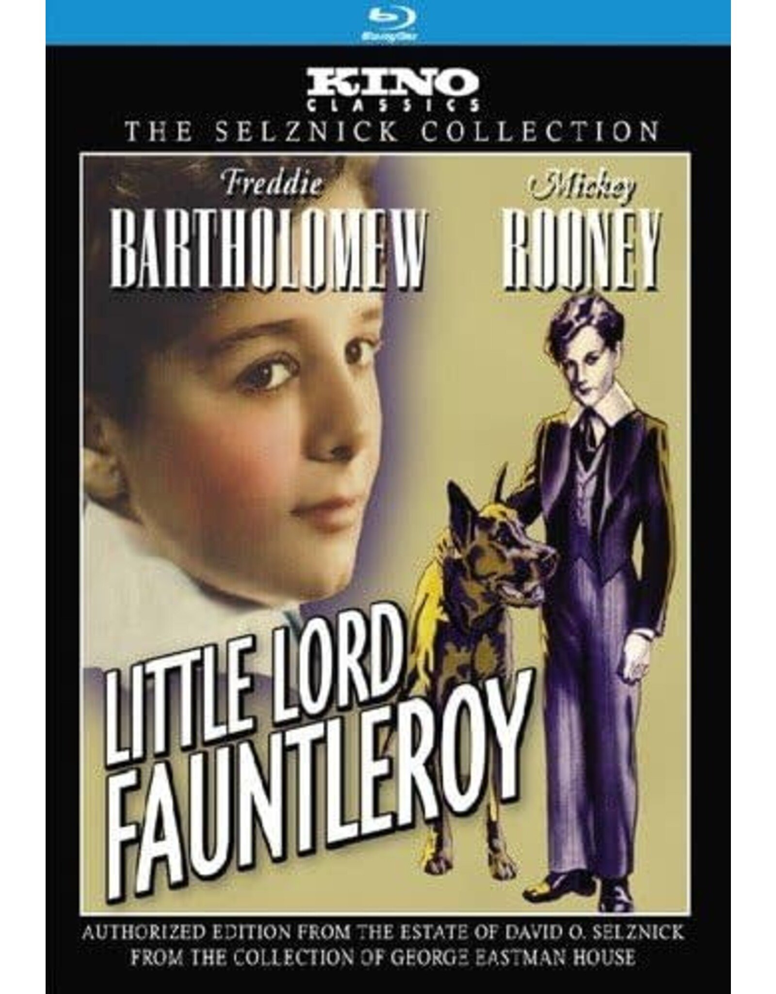 Cult & Cool Little Lord Fauntleroy - Kino Classics (Brand New)
