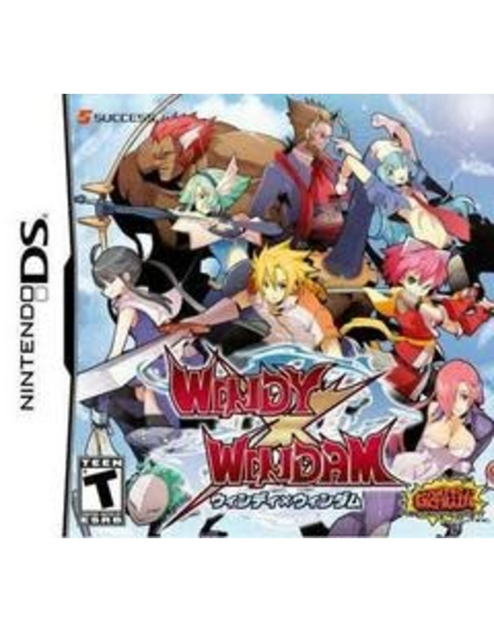 Nintendo DS Windy x Windam (Cart Only)