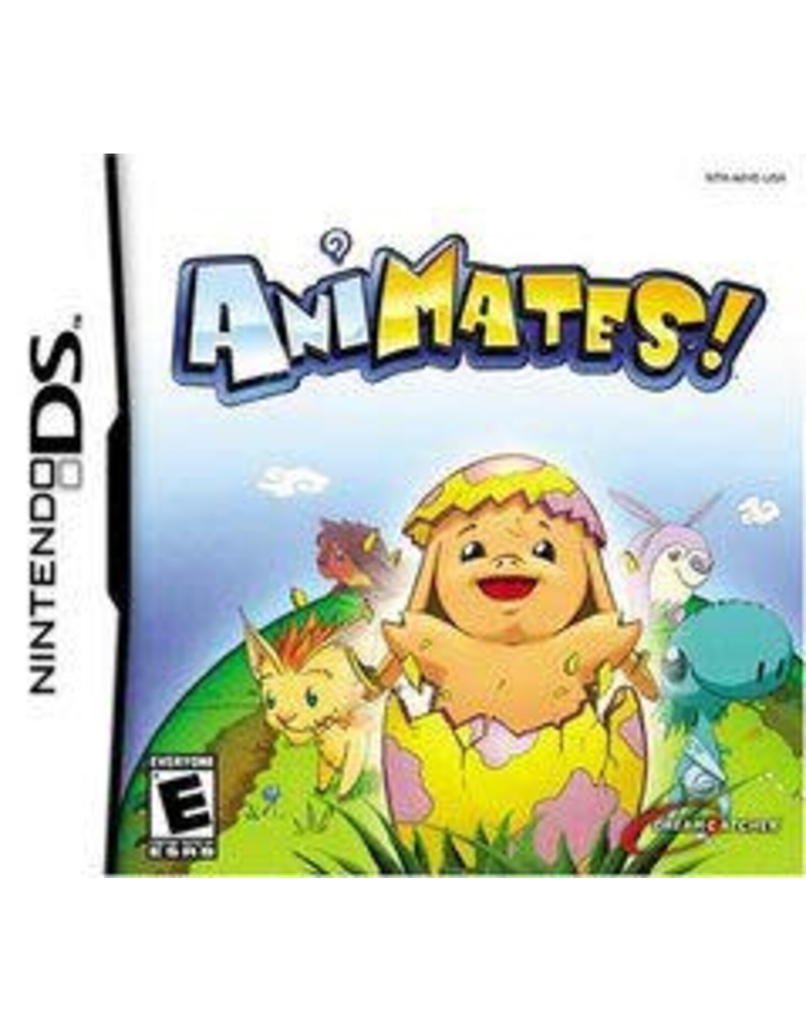 Nintendo DS Animates (No Manual)