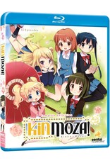 Anime & Animation Kinmoza! Complete Collection (Used)