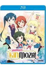 Anime & Animation Hello!! Kinmoza! Complete Collection (Brand New)