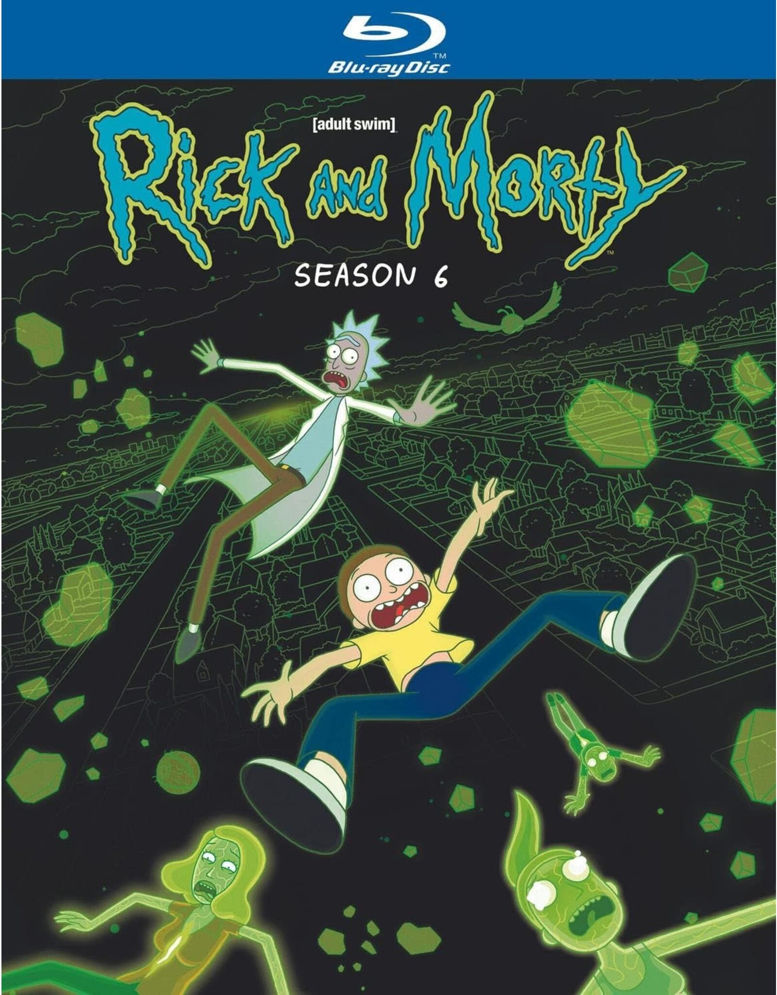 Anime & Animation Rick and Morty Season 6 (Brand New)