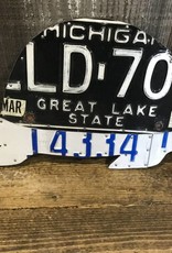 License Plate Art - Turtle