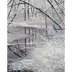 Ron Wetzel Art Winter Blue Jay - 16x20 Print