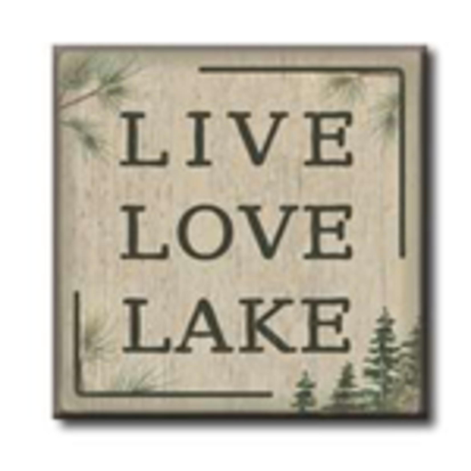 Live Love Lake 4x4