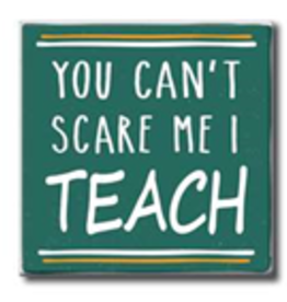 You Can't Scare Me I Teach 4x4