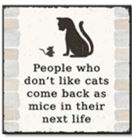 People Who Don't Like Cats Come Back As Mice 6x6