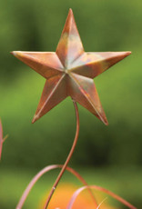 Garden Stake - Star