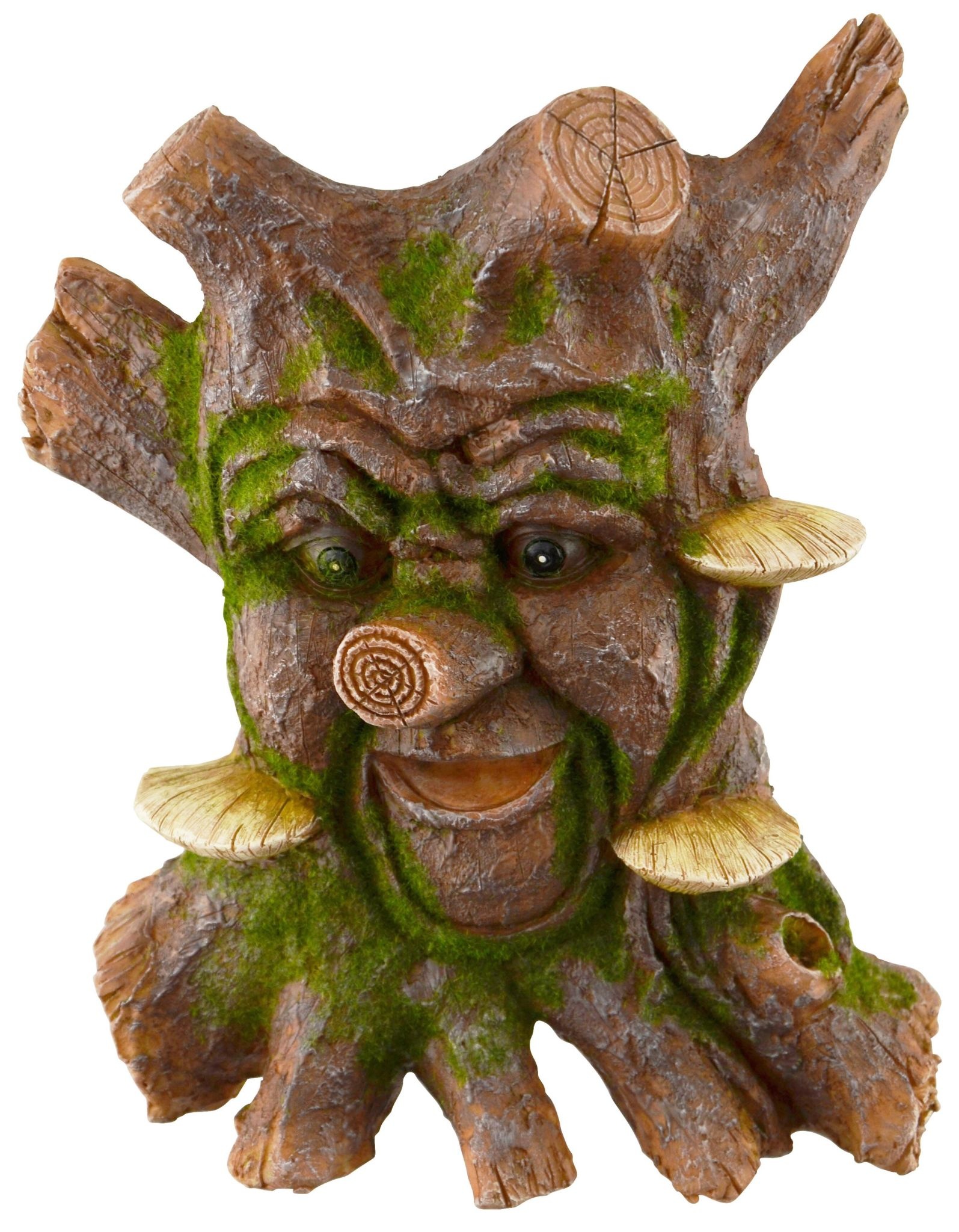 Tree Knots Mushrooms Tree Face The Bear Den Gallery