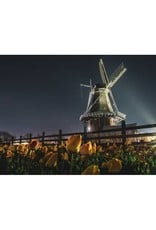 Nick Irwin Images Holland Windmill