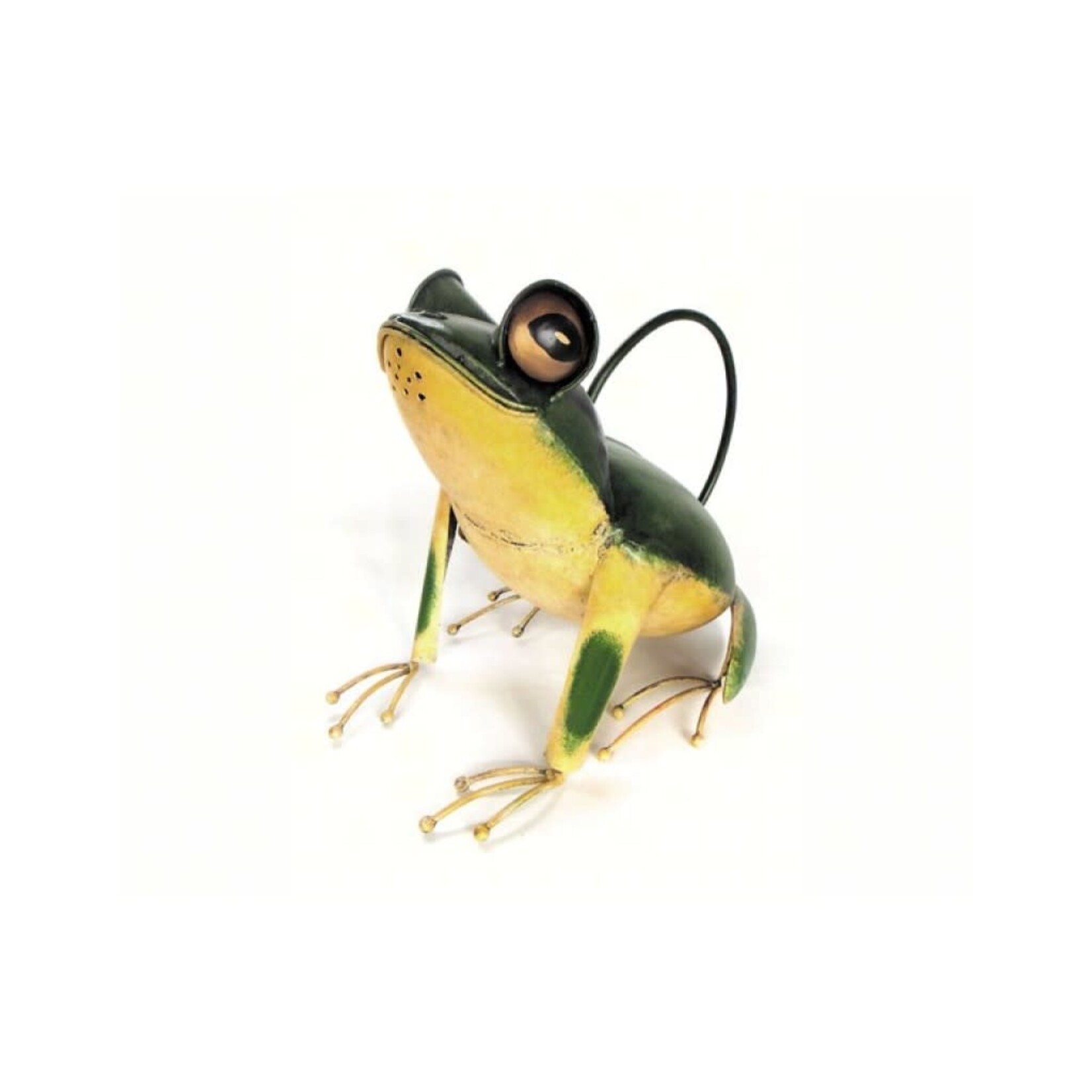 Watering Can - Tree Frog