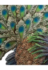 Metal Peacock - Pride