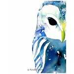 Michelle Detering Art Collection Michelle Detering Limited Matted Print - Owl in Blue