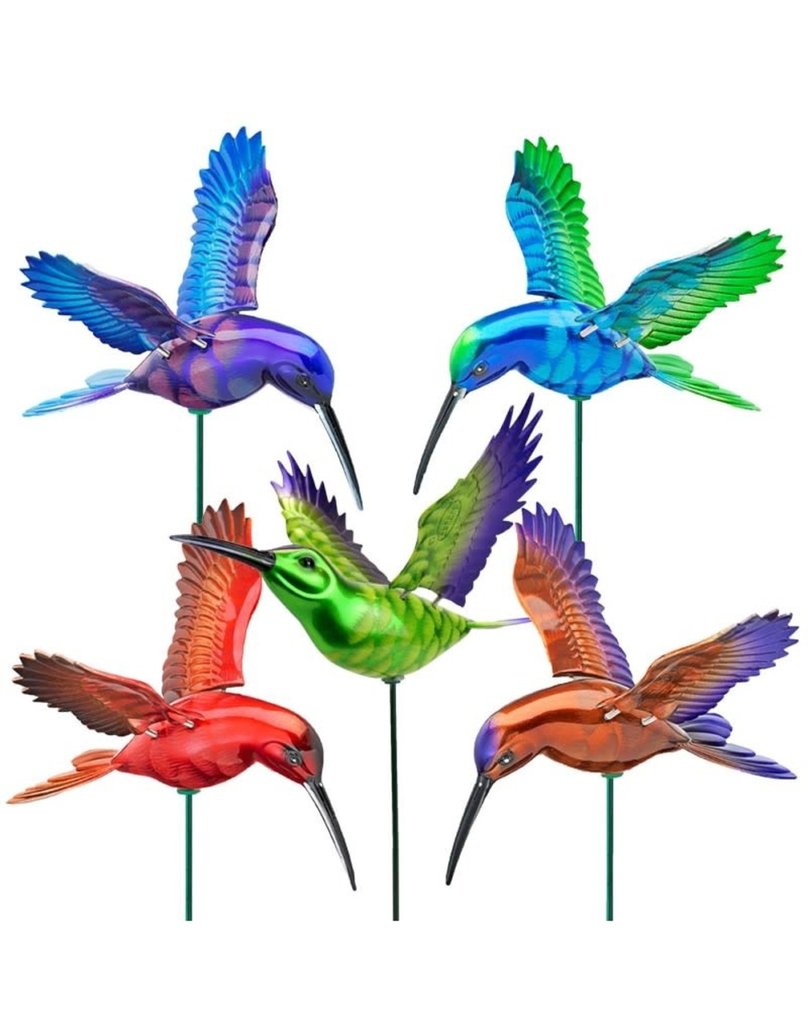 Windy Wings - Colorful Hummingbirds