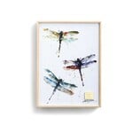 Dragonflies Wall Art 6x8