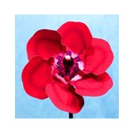 Red Poppy Pinwheel