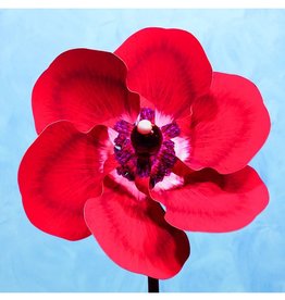 Red Poppy Pinwheel