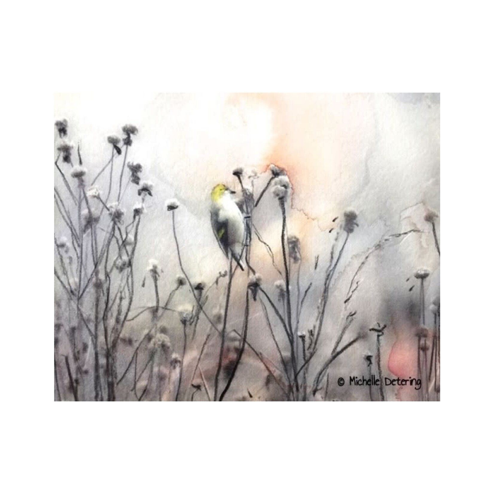 Michelle Detering Limited Matted Print - Goldfinch in Winter