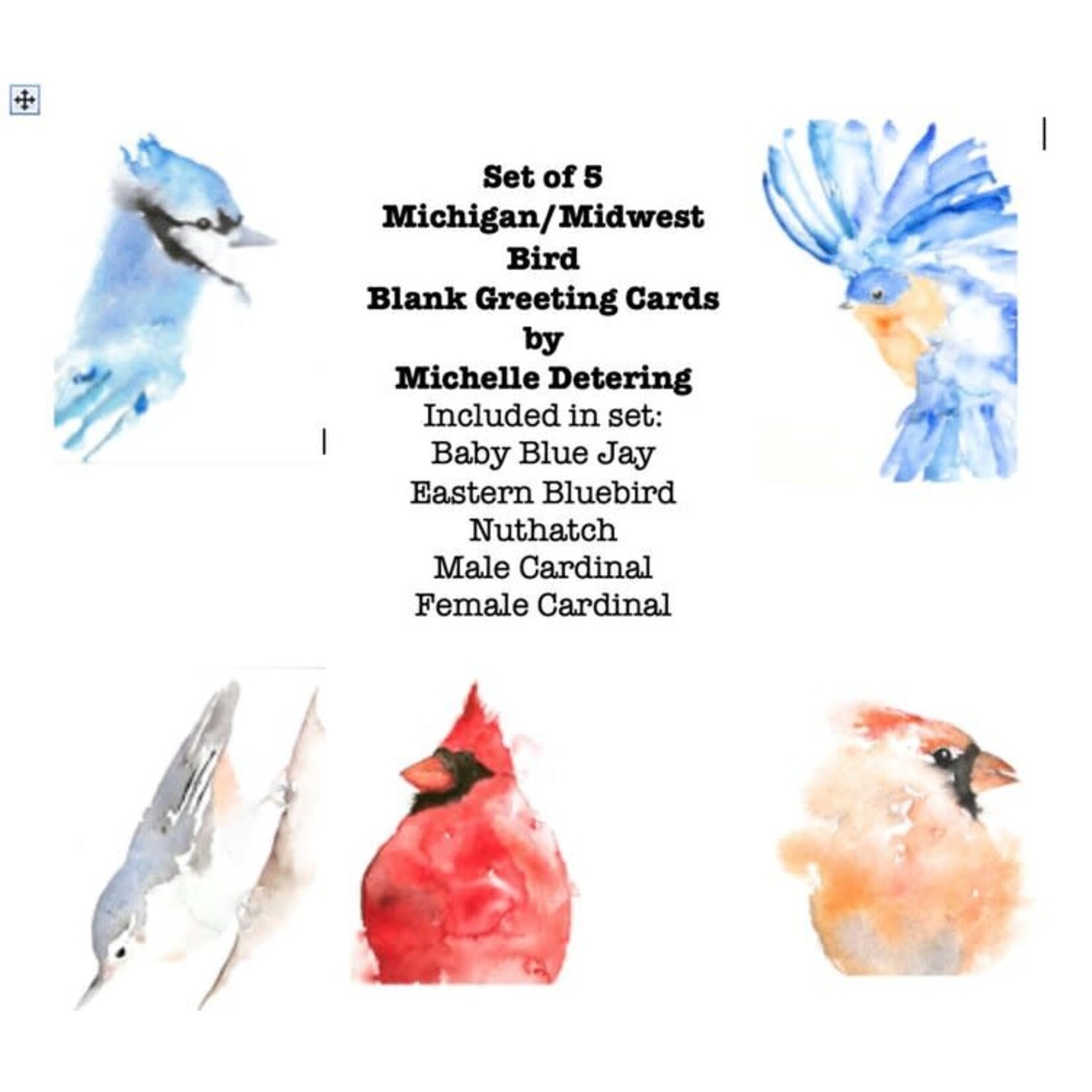 Michelle Detering Art Collection Michelle Detering Michigan Birds - 5 Card Pack