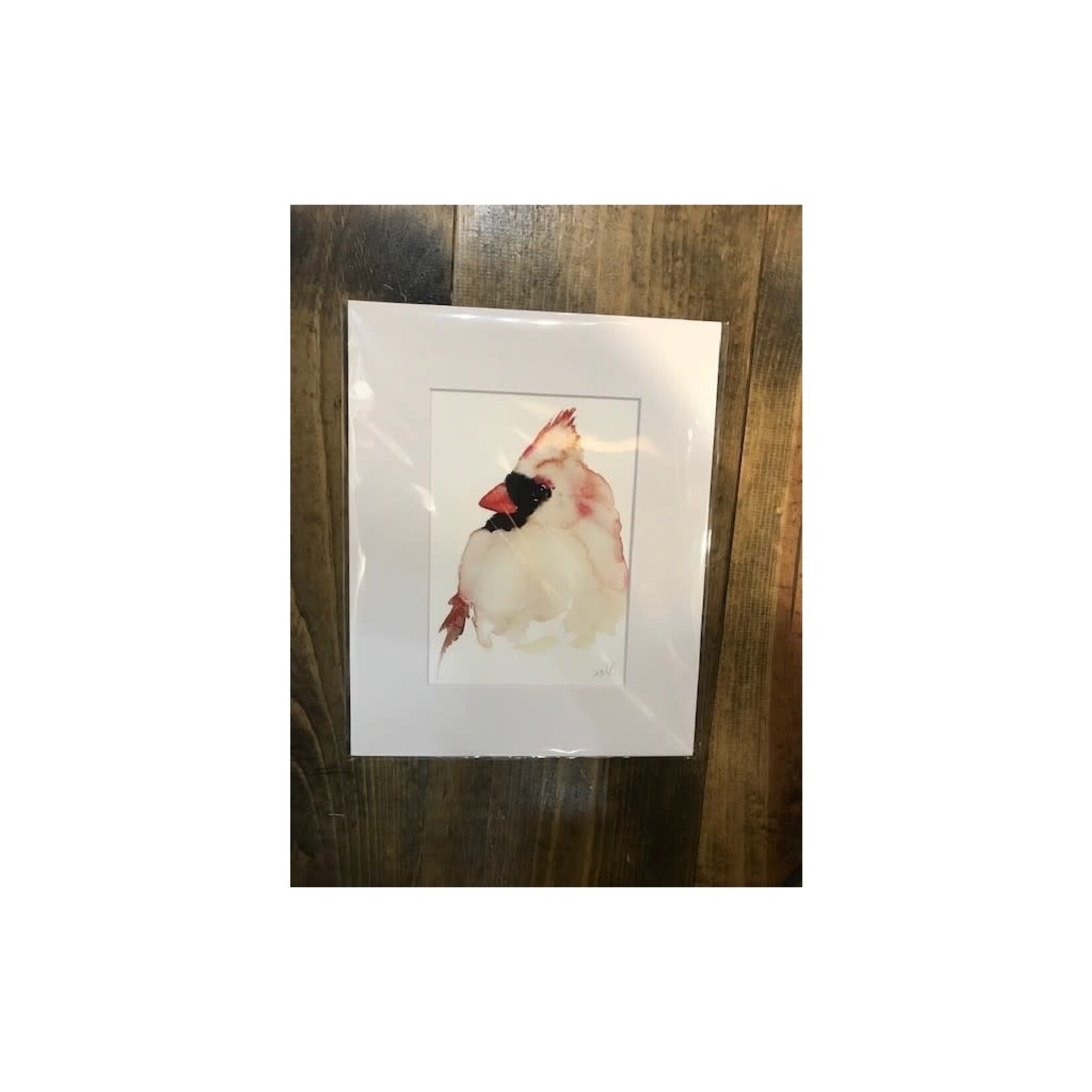 Michelle Detering Limited Matted Print - Female Cardinal Portrait