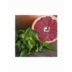 Soy-Blend Wax Melt - Grapefruit & Mint