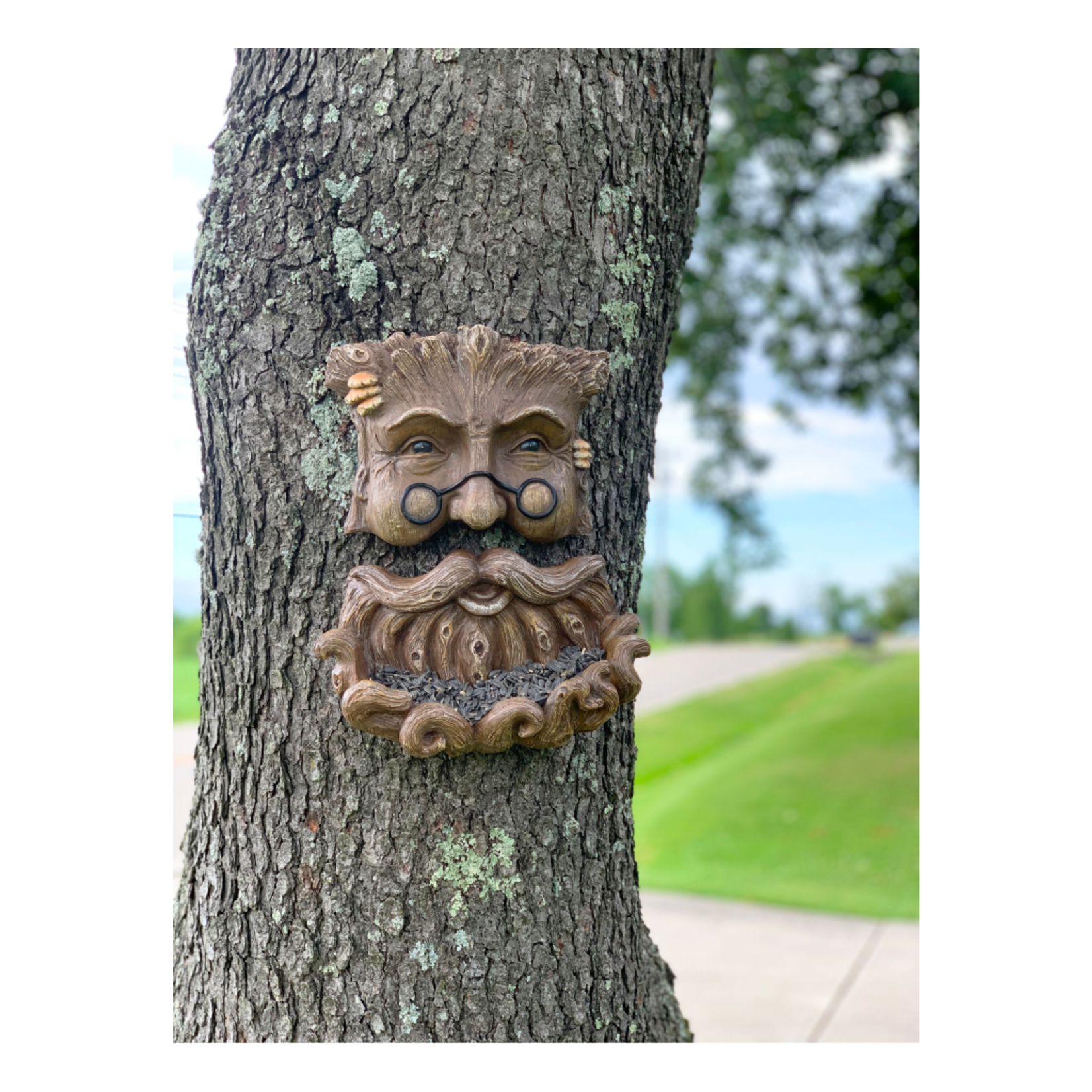 Tree Face - Twiggy Beard