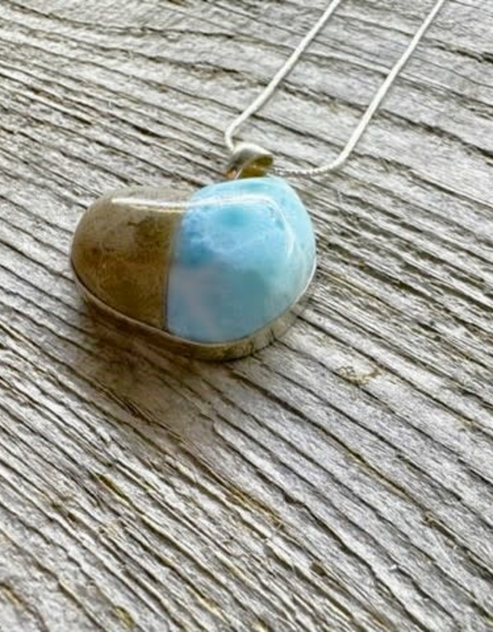 Necklace Pendant - Petoskey Stone & Larimar Duo