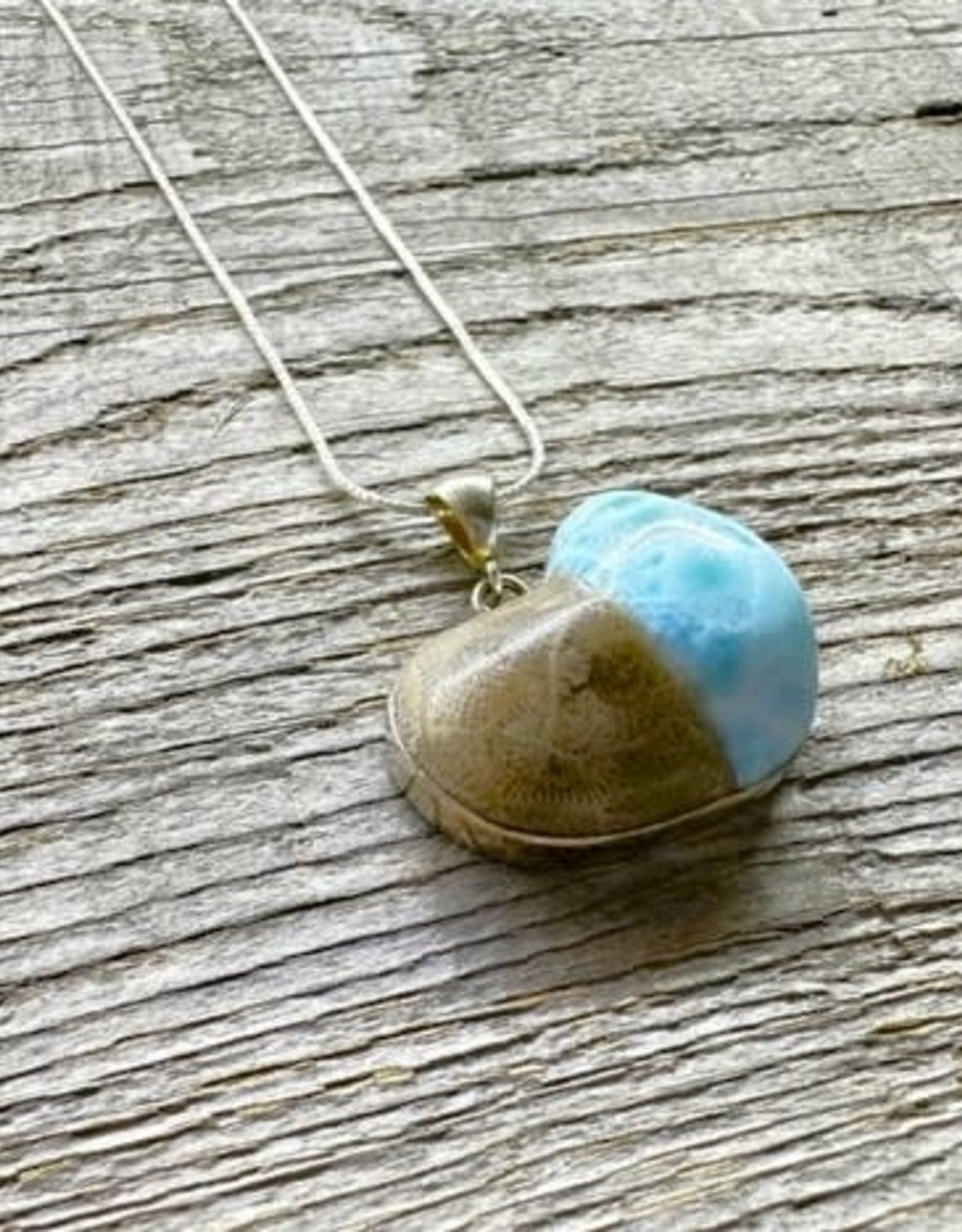 Necklace Pendant - Petoskey Stone & Larimar Duo