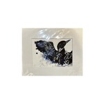 Michelle Detering Limited Matted Print - Loon II