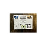 Michelle Detering Butterfly - 5 Card Pack