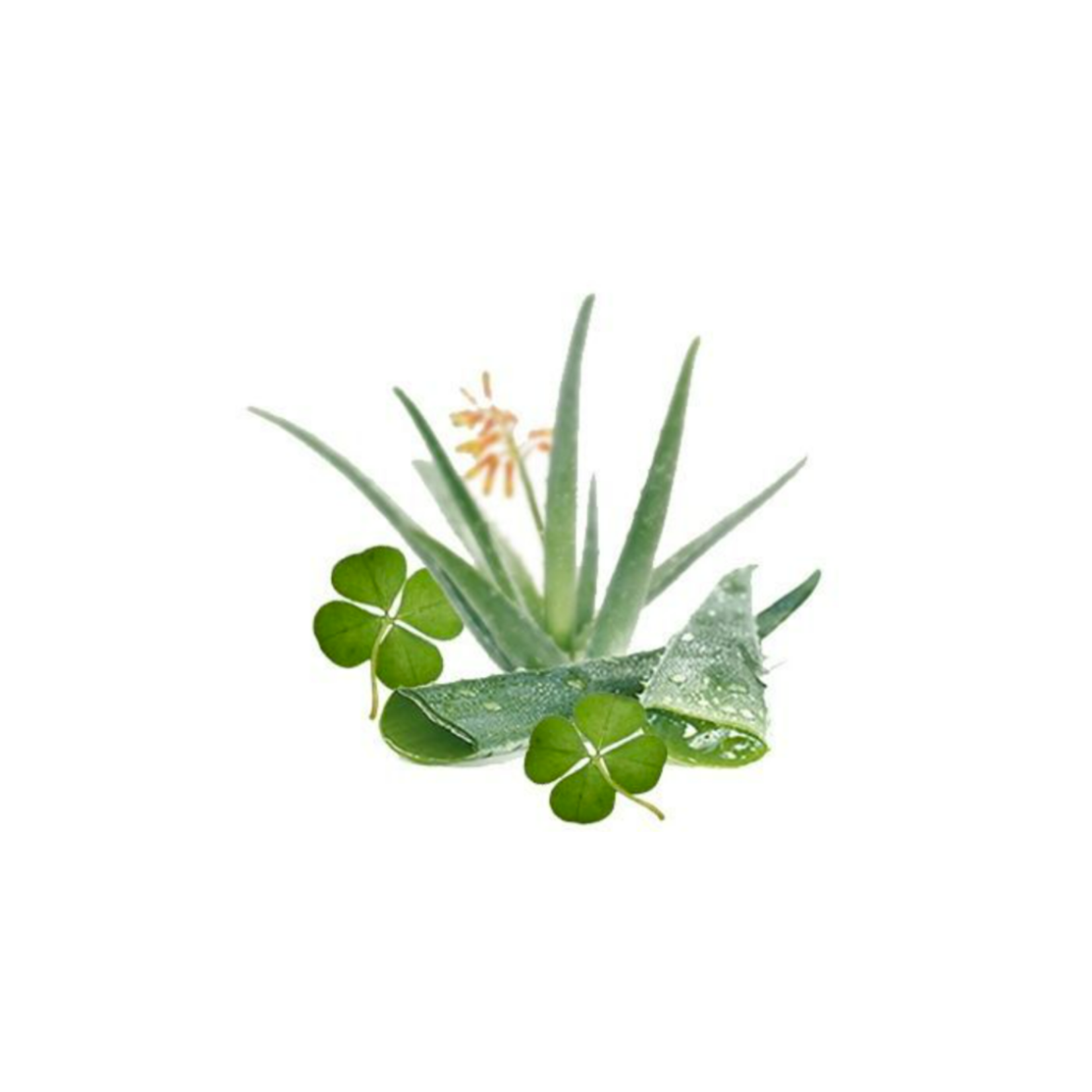 Soy-Blend Wax Melt - Aloe & Green Clover