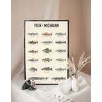 Fish of Michigan - Lindsey Naylor Art Print 12x18