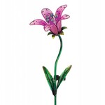 Solar Pink Tiger Lily