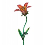 Solar Red Tiger Lily