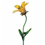 Solar Yellow Tiger Lily